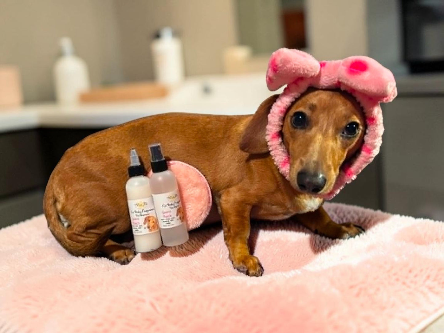 Pet Shampoo - Guava Punch