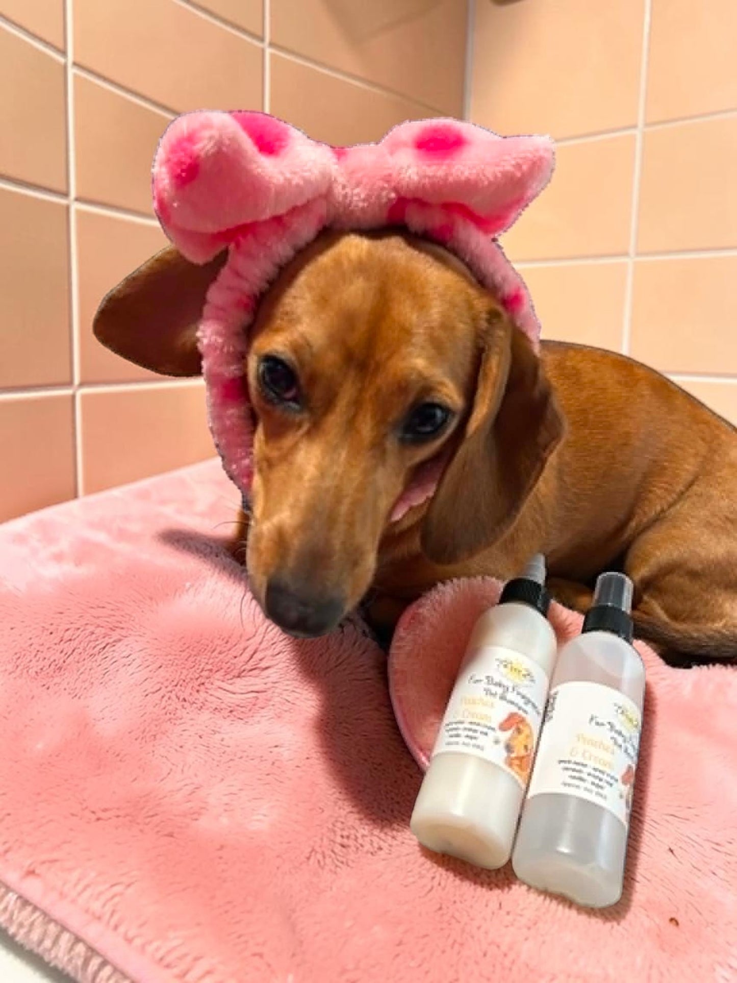 Pet Shampoo - Peaches & Cream