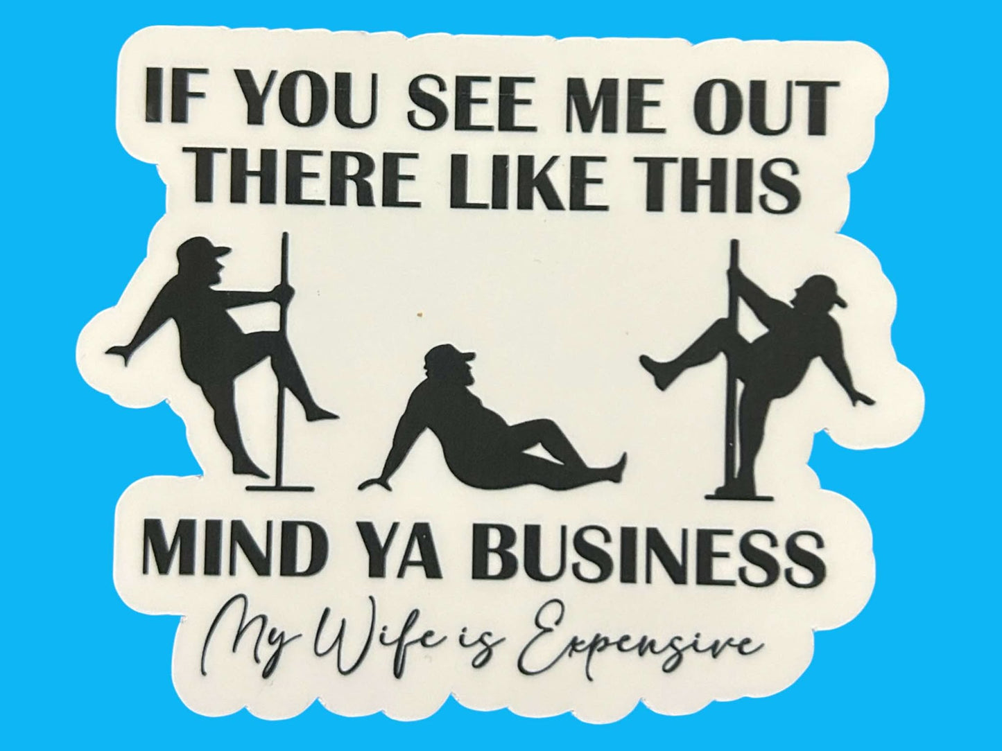 Sticker - Wife Is Expensive