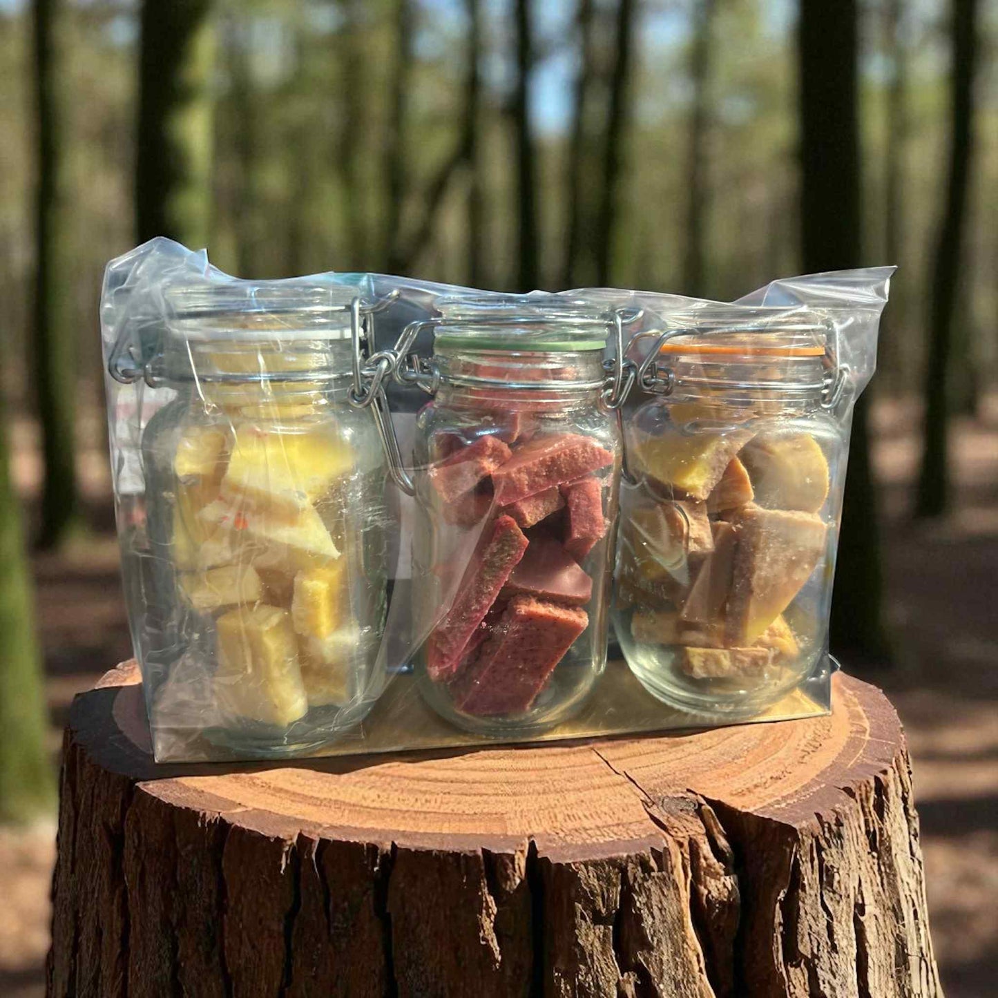 Fall Soy Wax Sampler