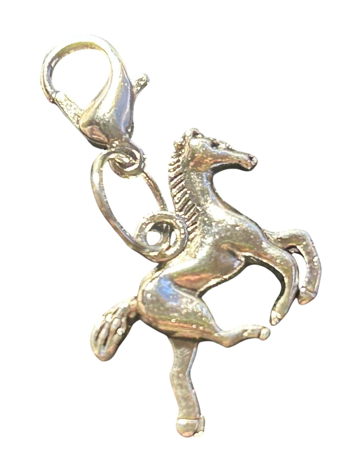 Charmee Charms - Western