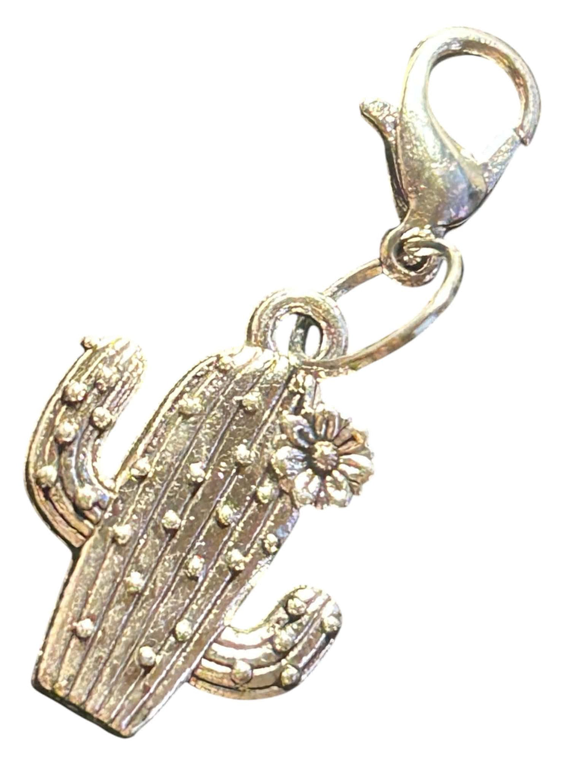 Charmee Charms - Western