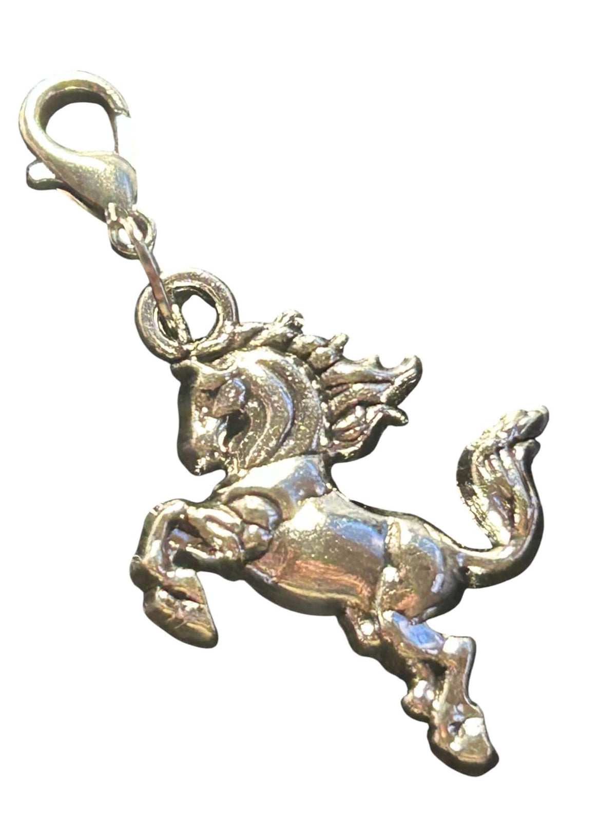 Charmee Charms - Western