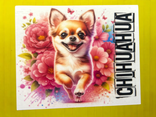 Sticker - Chihuahua