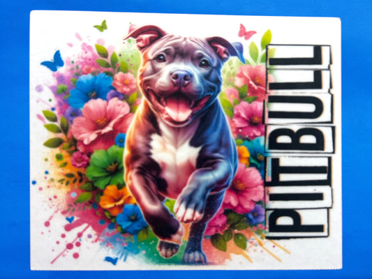 Sticker - Pittbull