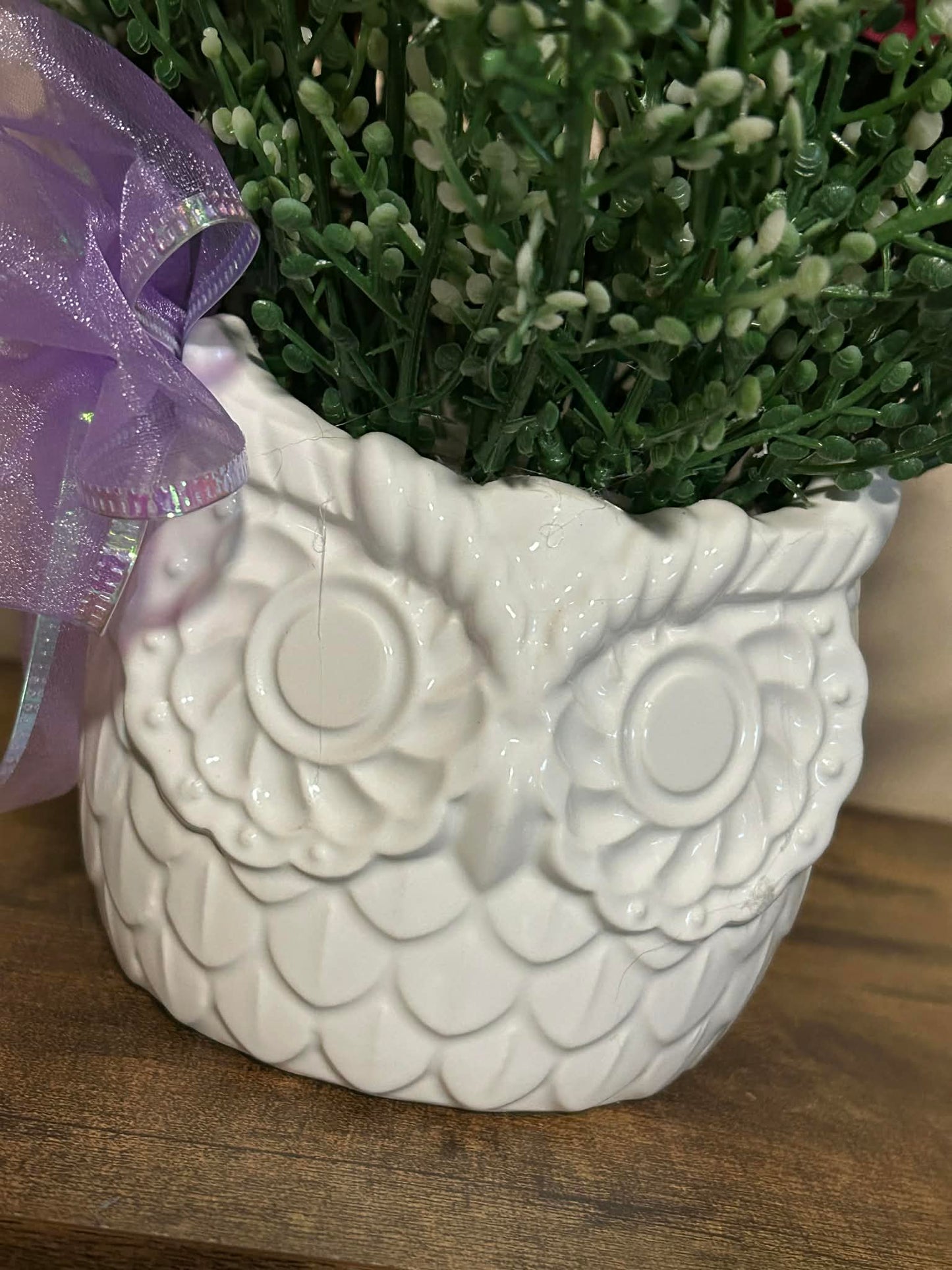 Pansy Owl