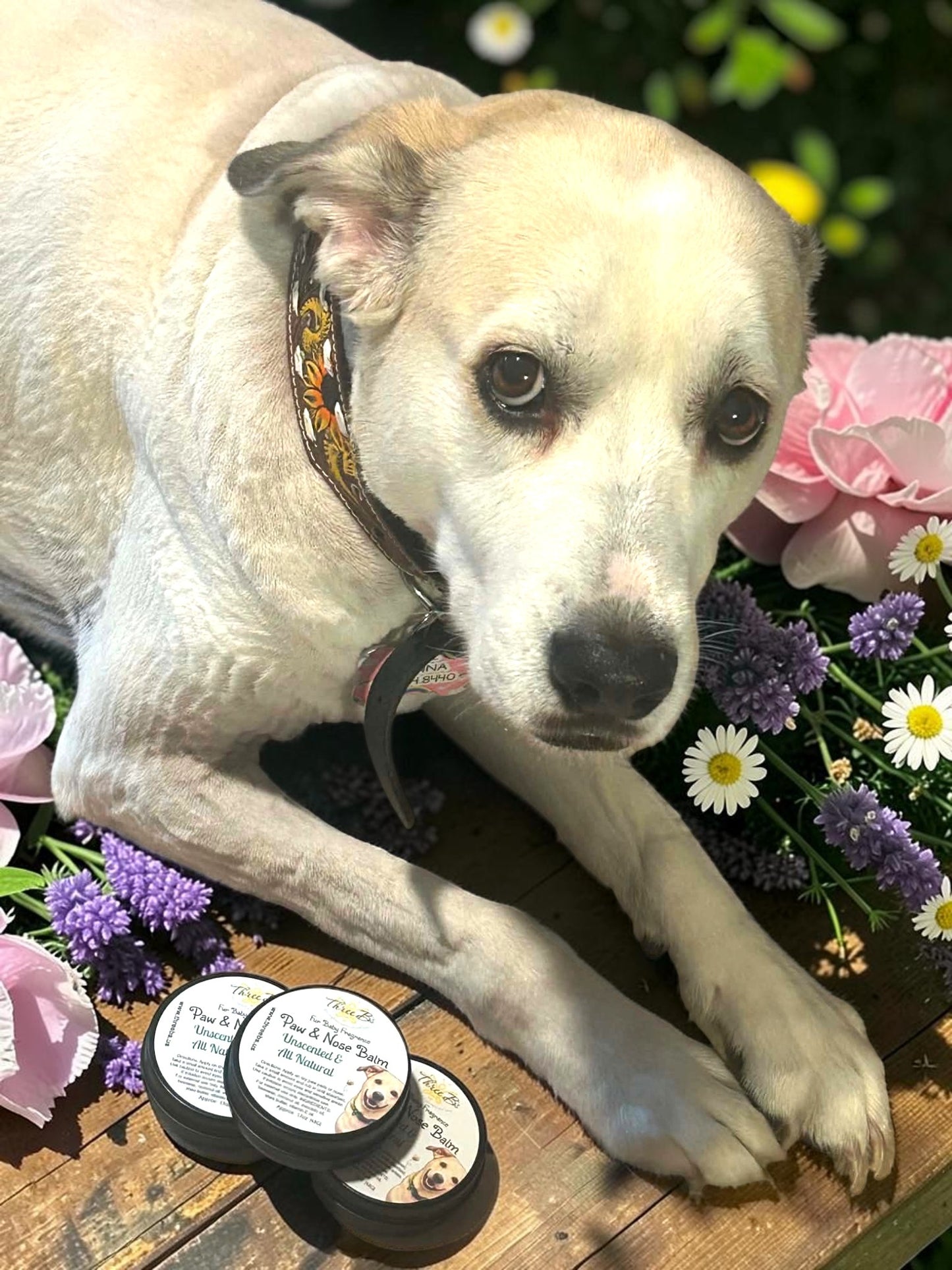 Paw & Nose Balm