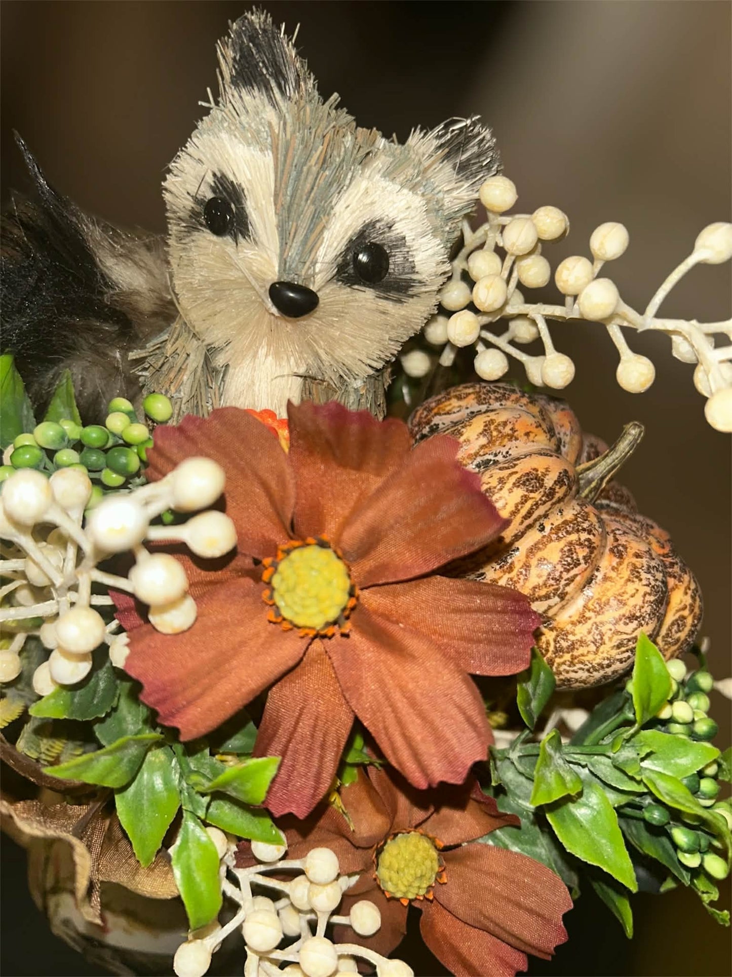 Rowdy Raccoon