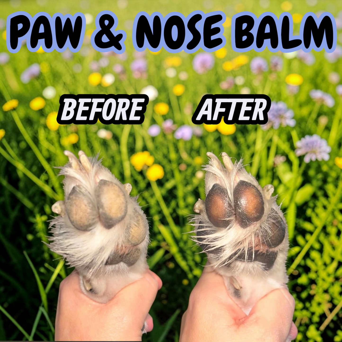 Paw & Nose Balm